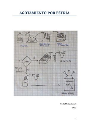 Agotamiento Por Estría, Noelia Montes Morado