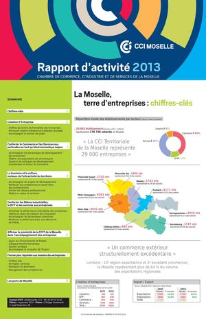Rapport d'activité 2013