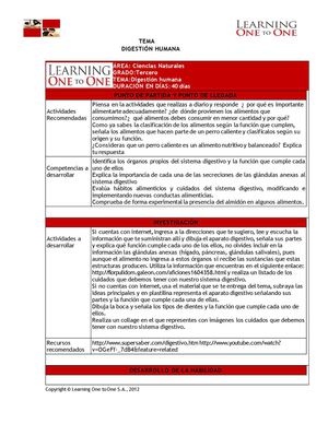 Tema Digestión Humana