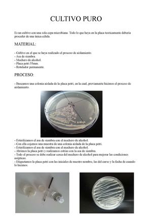 Cultivo Puro