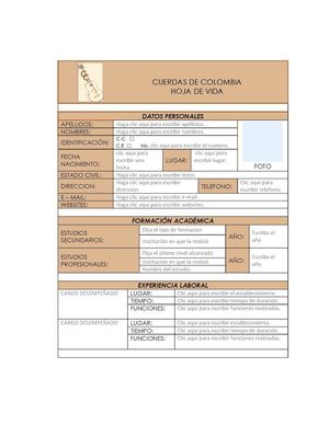 Formato Hoja De Vida Cc