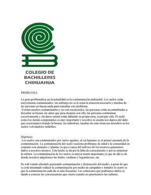 Trabajo Contaminacion Del Suelo