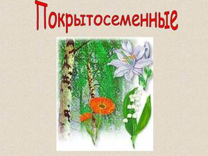 Покрытосеменные растения