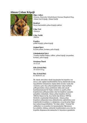 Alman Coban Kopegi