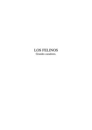 Los Felinos