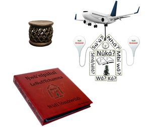 Extrait Dictionnaire Nufi Francais LNFT Stylished 1