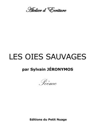 LES OIES SAUVAGES par Sylvain JÉRONYMOS Poème