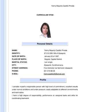 Curriculum Vitae