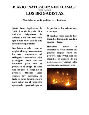 DIARIO NATURALEZA EN LLAMAS