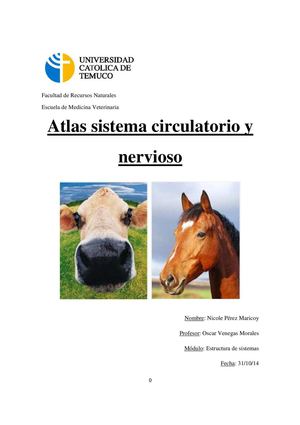 Atlas sistema nervioso y circulatorio.