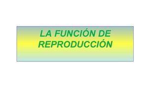 La función de reproducción