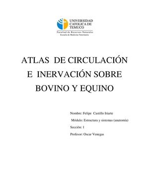 Atlas De Circulación e Inervacion Bovino y Equino