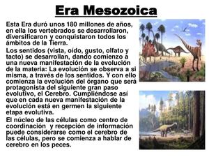 Era Mesozioca Matias Sansolini 7b