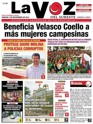 Diario La Voz del Sureste