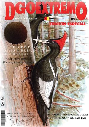 El Pájaro Carpintero Imperial