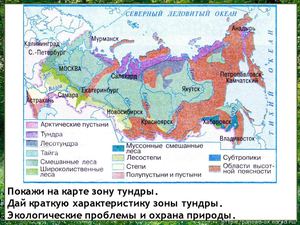 Леса России