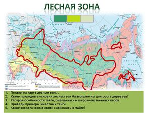 Лес и человек