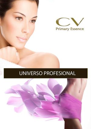 Universo Profesional CV Paso A Paso