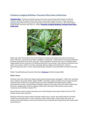 Panduan Lengkap Budidaya Tanaman Hias Daun Anthurium