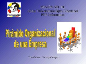 Piramide Organizacional