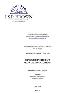 Seibo Oregano Albahaca Etc