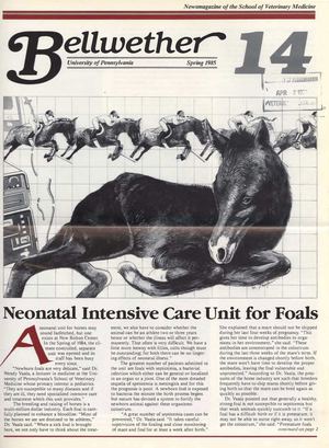 Bellwether 14, Spring 1985