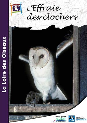 Plaquette Chouette Effraie