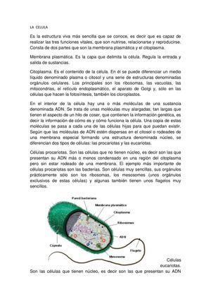 La Celula