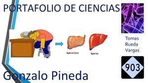 Portafolio Gonzalo Pineda