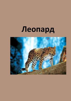 Леопард