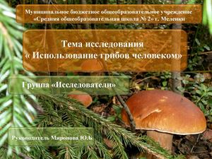 Презентация от группы Исследователи