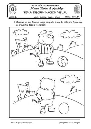 TEMA: DISCRIMINACIÓN VISUAL