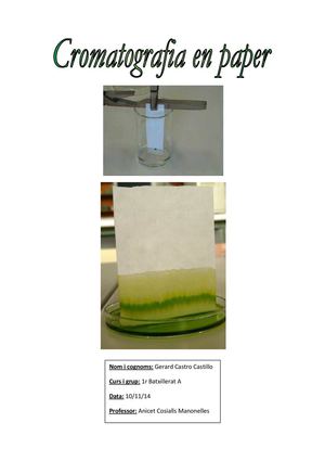 Cromatografia en paper