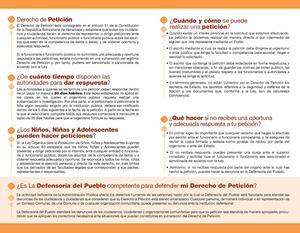 Dipitico Derecho De Peticion