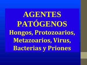 Agentes Patogenos