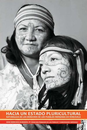 Ddhh Pueblos Indigenas