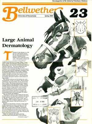 Bellwether 23, Spring 1988