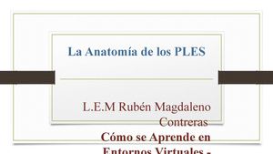 La Anatomía De Mi Ple