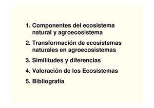 Eco Agroecosistemas