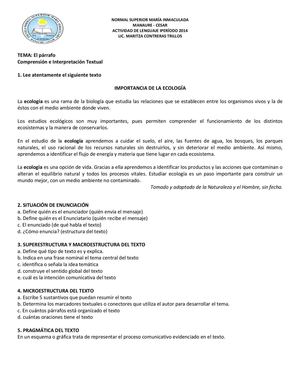 Actividad El Párrafo