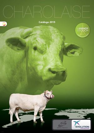 Catalogue Web Charolais Sp