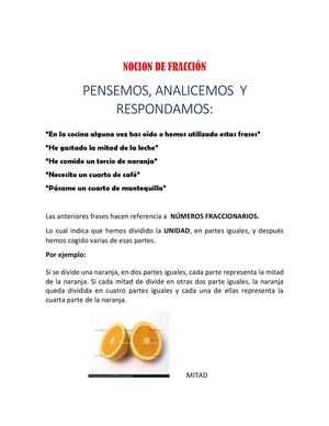 Nocion De Fracción