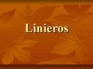 Linieros