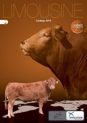 Catalogue Web Limousin Sp