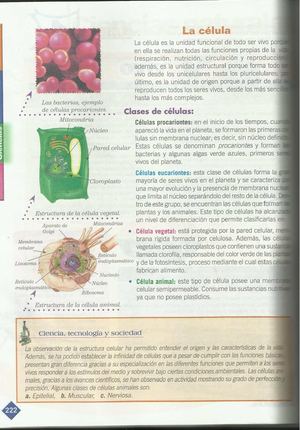 La Cèlula