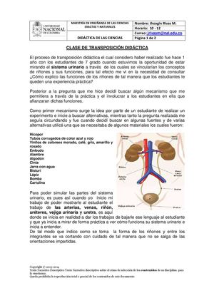 Transposición Didáctica Clase
