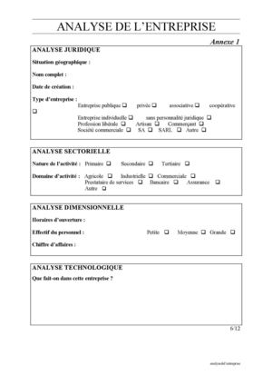 6 Analyse De L'entreprise