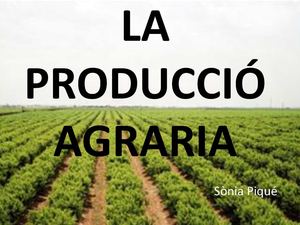 La producció agraria