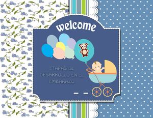 Etapas Del Embarazo Final Pdf