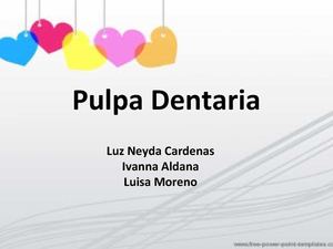 Pulpa Dentaria